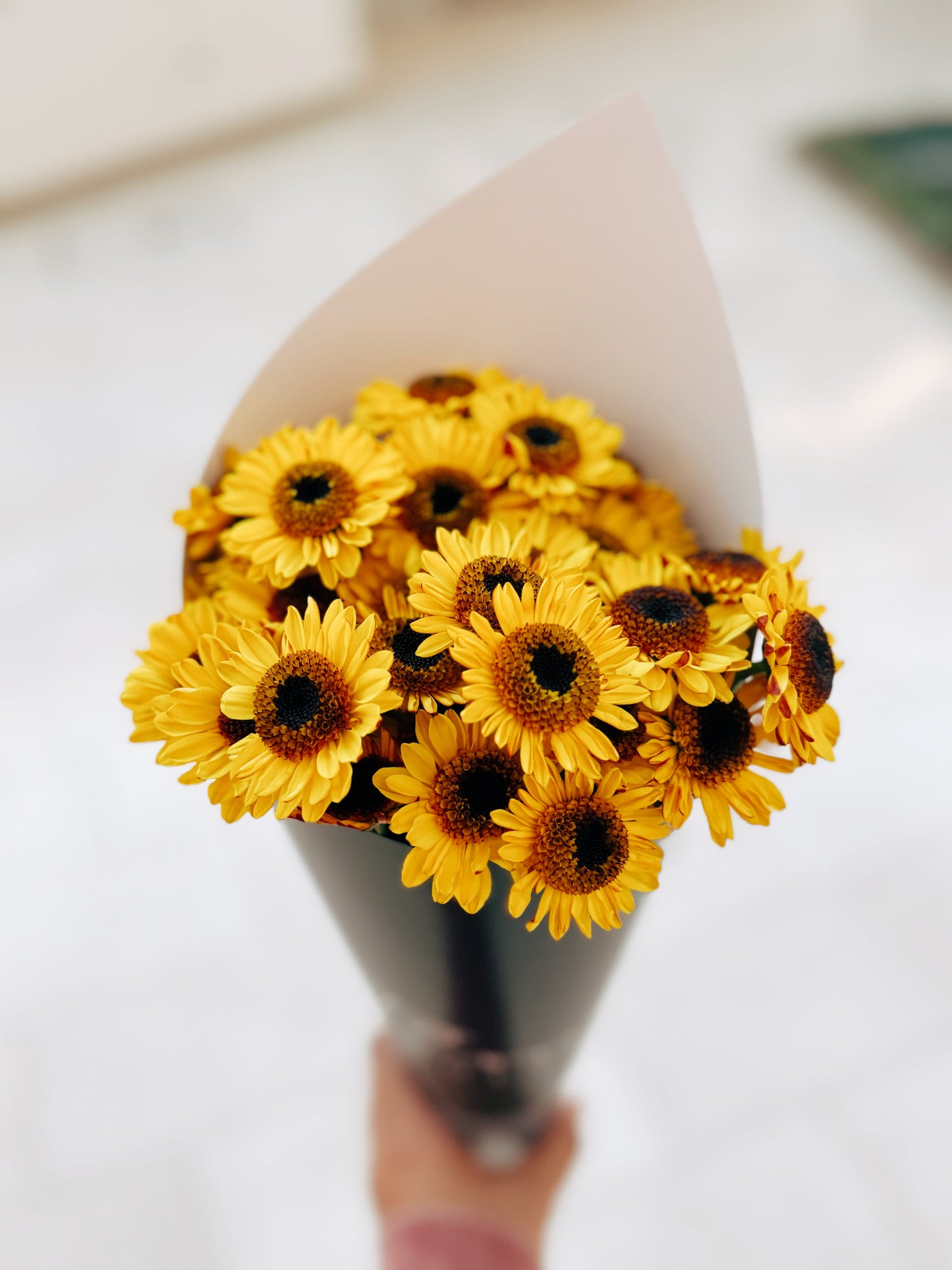 Daisy Bunch Viking