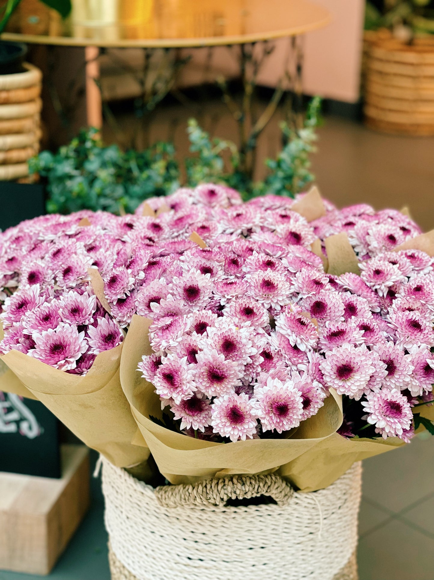 Daisy Bunch