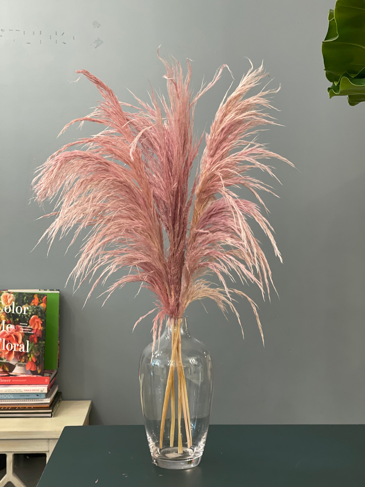 Pampas Premium Silky