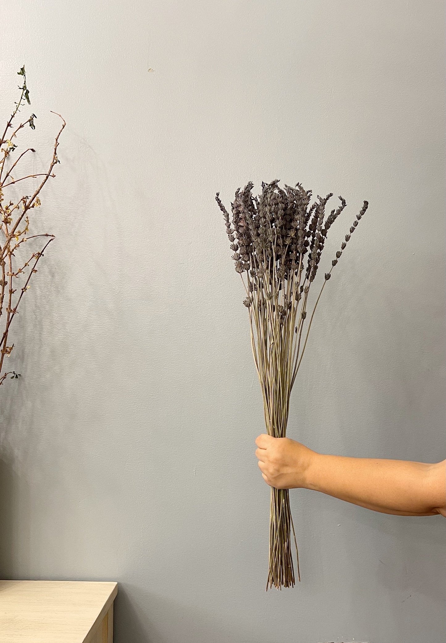 lavender bunch tall
