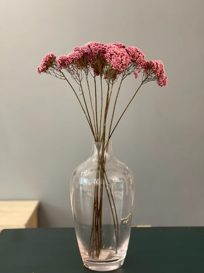 Rice Flower Dried